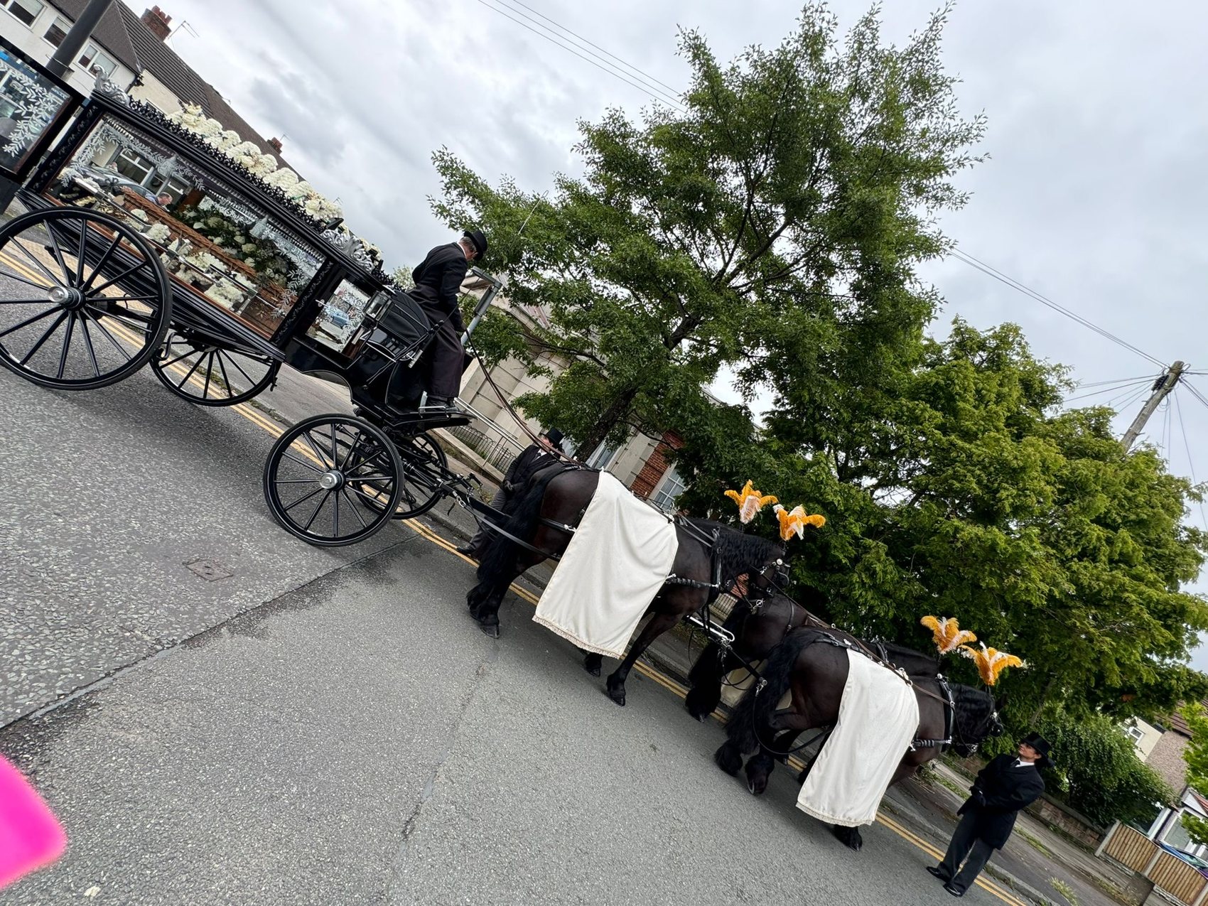 A black horse-drawn hearse with white blankets on the horses, moving along a tree-lined street